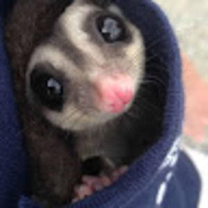 Meet your Posher, Alexandra